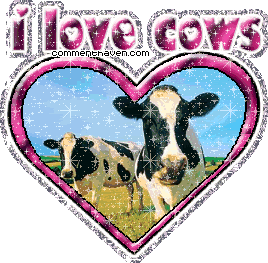 I Love Cows picture for facebook