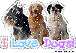 I Love Dogs picture