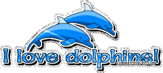 I Love Dolphins picture for facebook