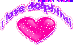I Love Dolphins picture for facebook