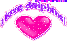 I Love Dolphins picture