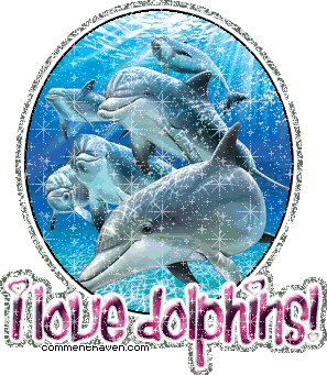 I Love Dolphins picture