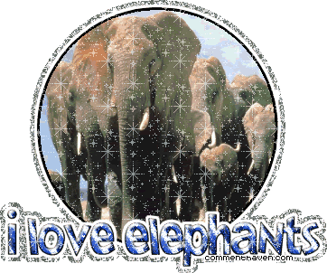 I Love Elephants picture for facebook