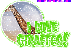 I Love Giraffes picture