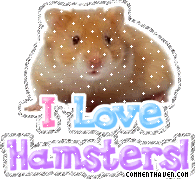I Love Hamsters picture for facebook