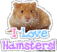 I Love Hamsters picture