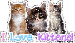 I Love Kittens picture for facebook
