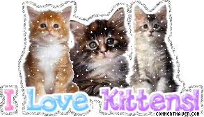 I Love Kittens picture