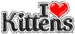I Love Kittens picture