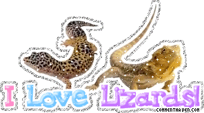 I Love Lizards picture for facebook