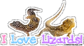 I Love Lizards picture