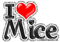 I Love Mice picture