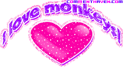 I Love Monkeys picture