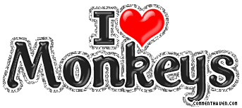 I Love Monkeys picture