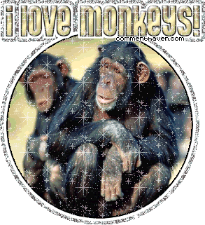 I Love Monkeys picture for facebook