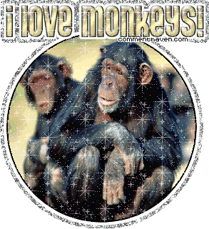 I Love Monkeys picture