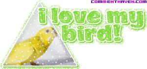 I Love My Bird picture