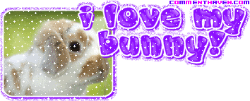I Love My Bunny picture