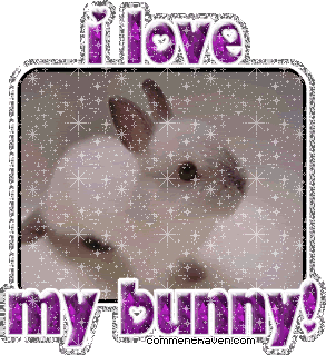 I Love My Bunny picture for facebook
