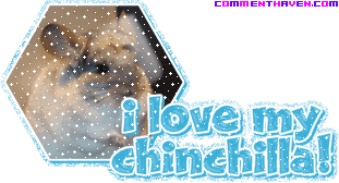 I Love My Chinchilla picture for facebook