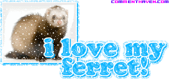 I Love My Ferret picture for facebook