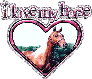 I Love My Horse picture for facebook