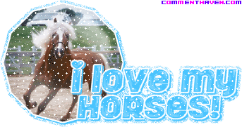 I Love My Horses picture for facebook