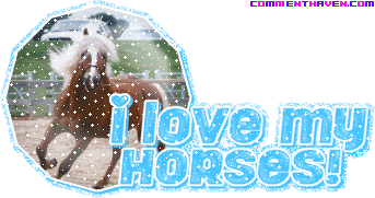 I Love My Horses picture