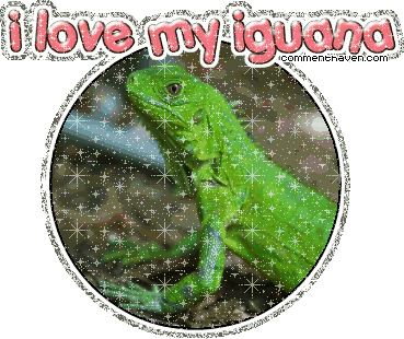 I Love My Iguana picture for facebook