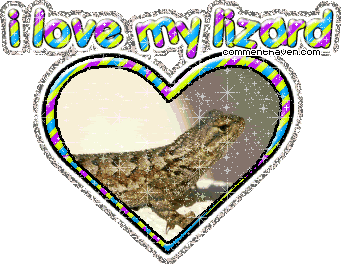 I Love My Lizard picture