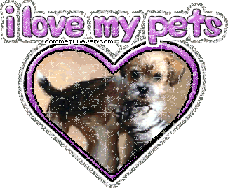 I Love My Pets picture for facebook
