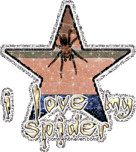I Love My Spider picture
