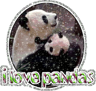I Love Pandas picture for facebook