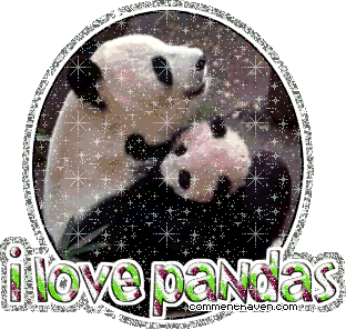 I Love Pandas picture