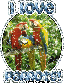 I Love Parrots picture