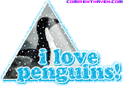 I Love Penguins picture