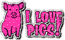 I Love Pigs picture for facebook
