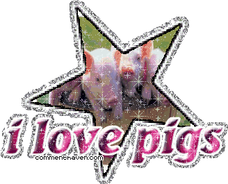 I Love Pigs picture