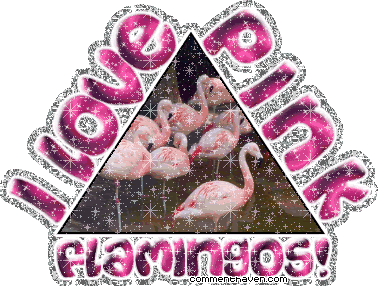 I Love Pinkflamingos picture for facebook