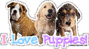I Love Puppies picture