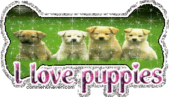 I Love Puppies picture