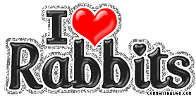 I Love Rabbits picture