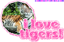 I Love Tigers picture for facebook