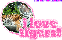 I Love Tigers picture