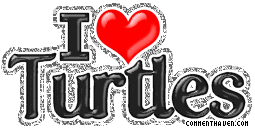 I Love Turtles picture for facebook