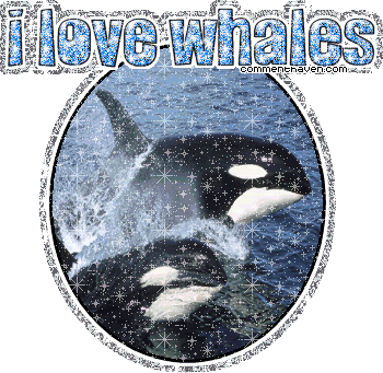 I Love Whales picture for facebook