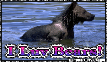Luv Bears picture