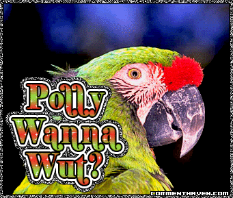Luv Polly picture