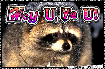 Luv Raccoon picture for facebook