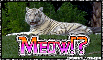 Luv Tiger picture
